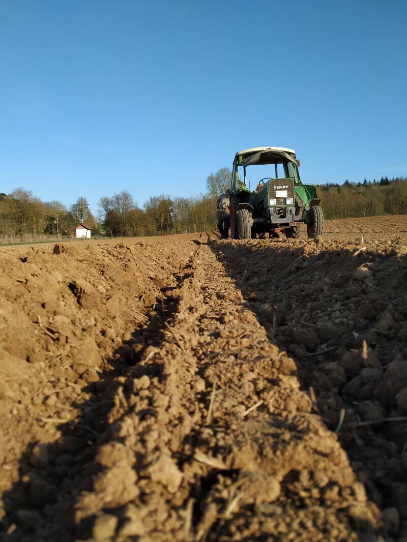 Saat ,Kartoffeln, bio, Flegler, Urphar, Ernte, Wertheim, Landwirtschaft, Bauernhof, Bioland
