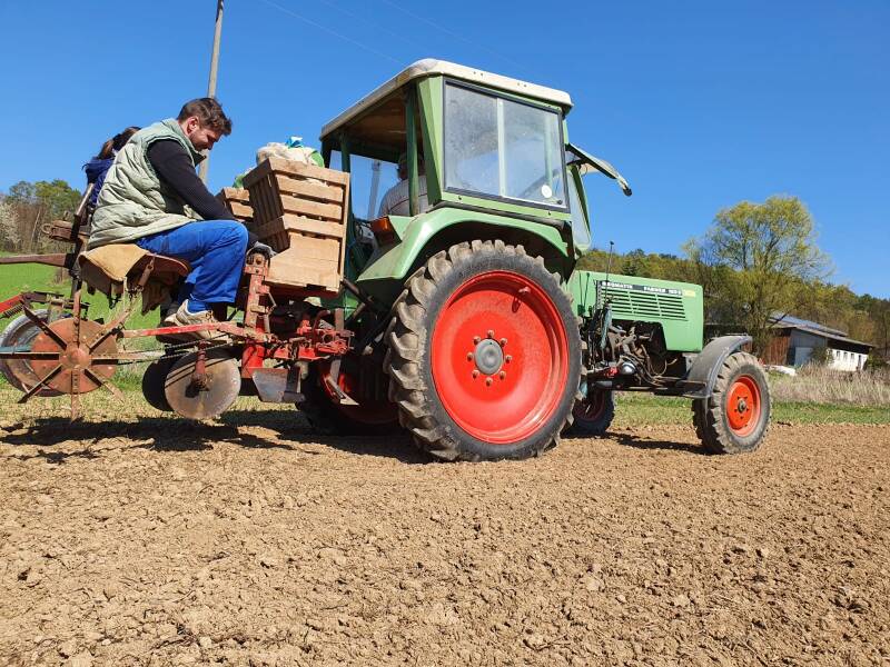 Kartoffeln, bio, Flegler, Urphar, Ernte, Eier, Bioeier, Neubrunn Wertheim, Landwirtschaft, Bauernhof, Bioland