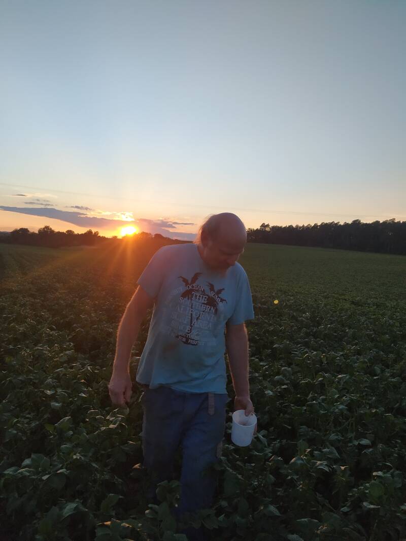 Kartoffeln, bio, Flegler, Urphar, Landwirtschaft, Bauernhof, Wertheim