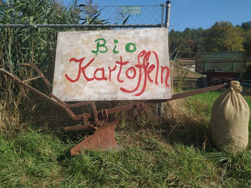 Kartoffeln, bio, Flegler, Urphar, Landwirtschaft, Bauernhof, Wertheim