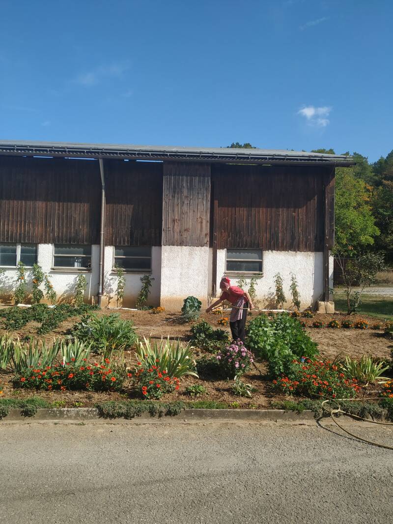 Kartoffeln, bio, Flegler, Urphar, Landwirtschaft, Bauernhof, Wertheim