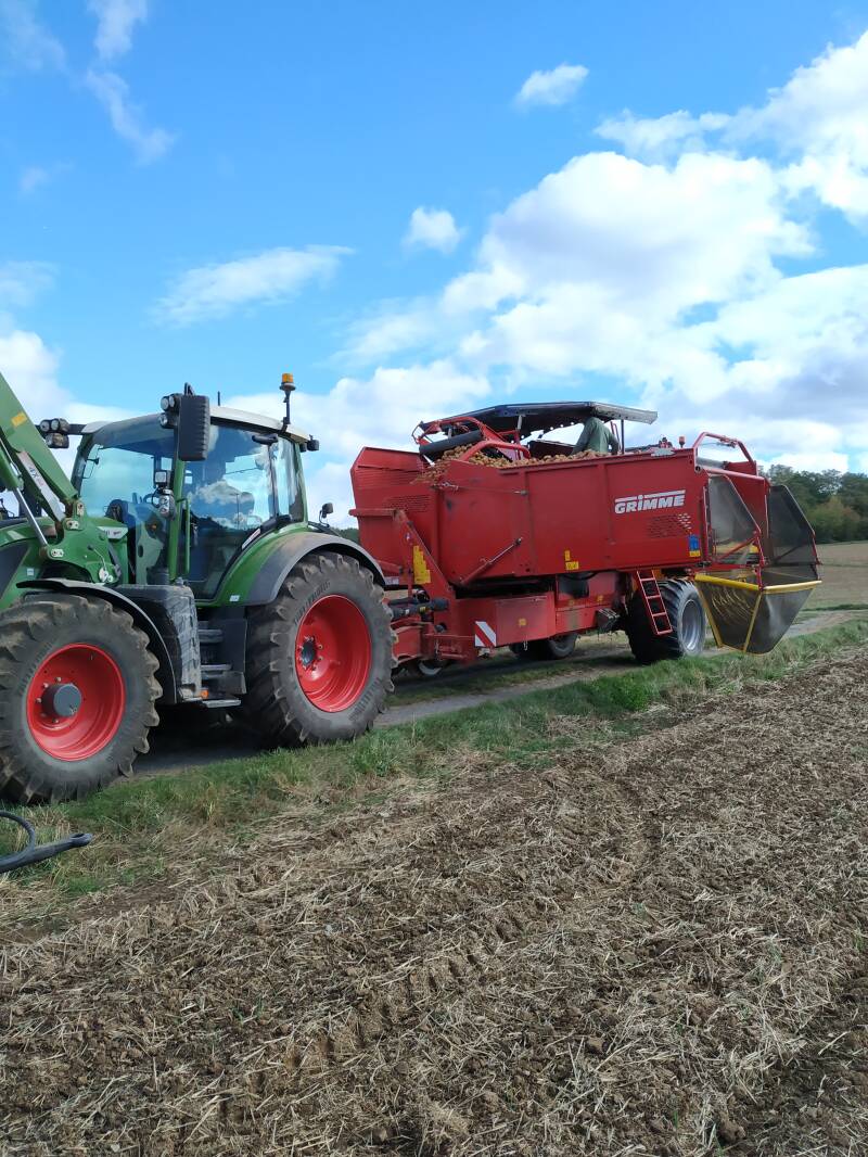Kartoffeln, bio, Flegler, Urphar, Ernte, Wertheim, Landwirtschaft, Bauernhof, Bioland