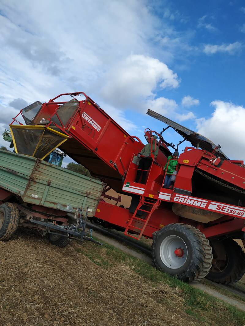 Kartoffeln, bio, Flegler, Urphar, Ernte, Wertheim, Landwirtschaft, Bauernhof, Bioland