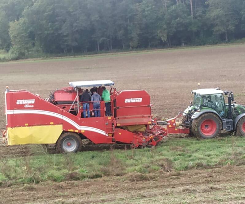 Kartoffeln, bio, Flegler, Urphar, Ernte, Wertheim, Landwirtschaft, Bauernhof, Bioland