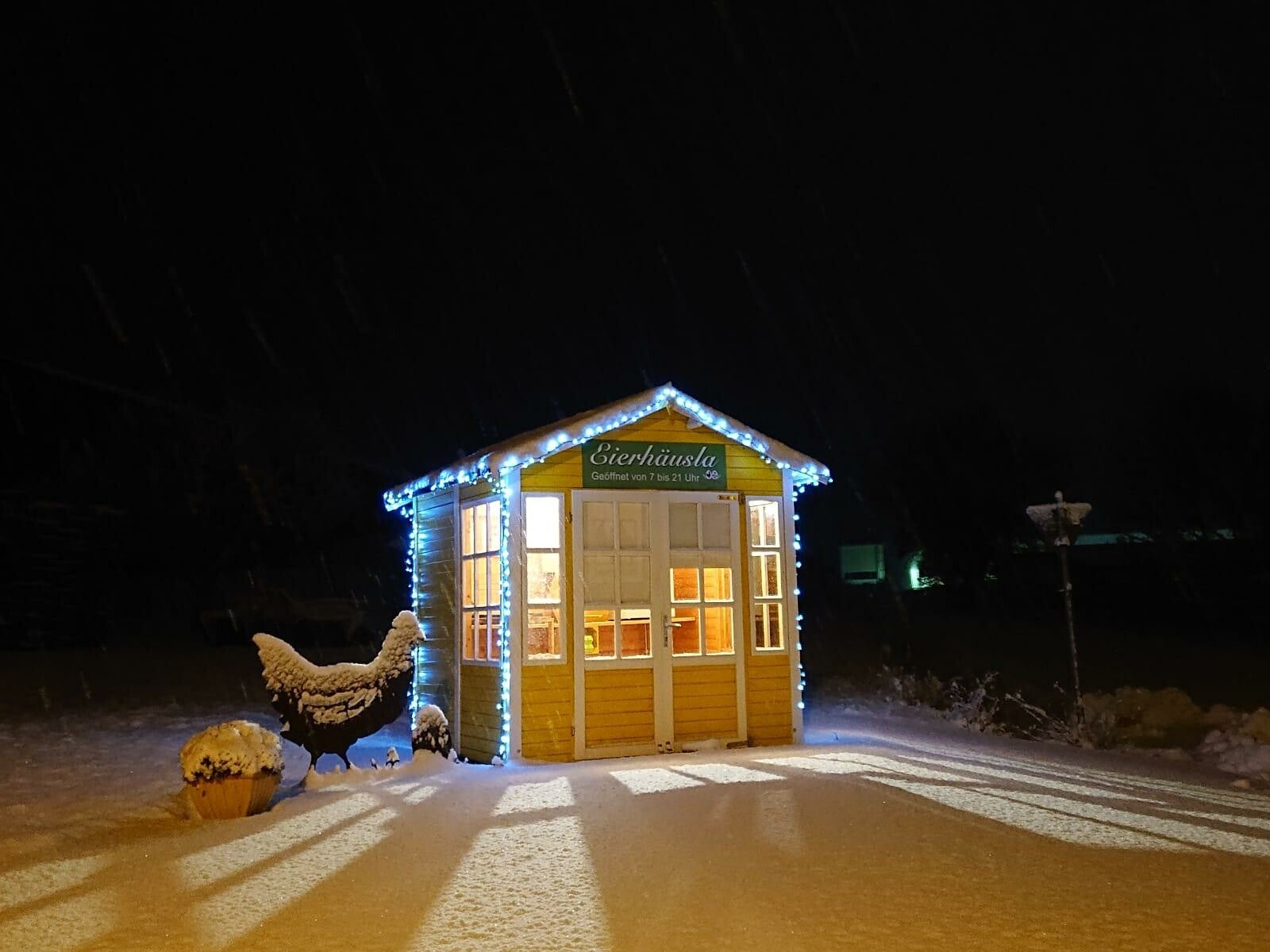 Kartoffeln, bio, Flegler, Urphar, Ernte, Eier, Bioeier, Neubrunn Wertheim, Landwirtschaft, Bauernhof, Bioland