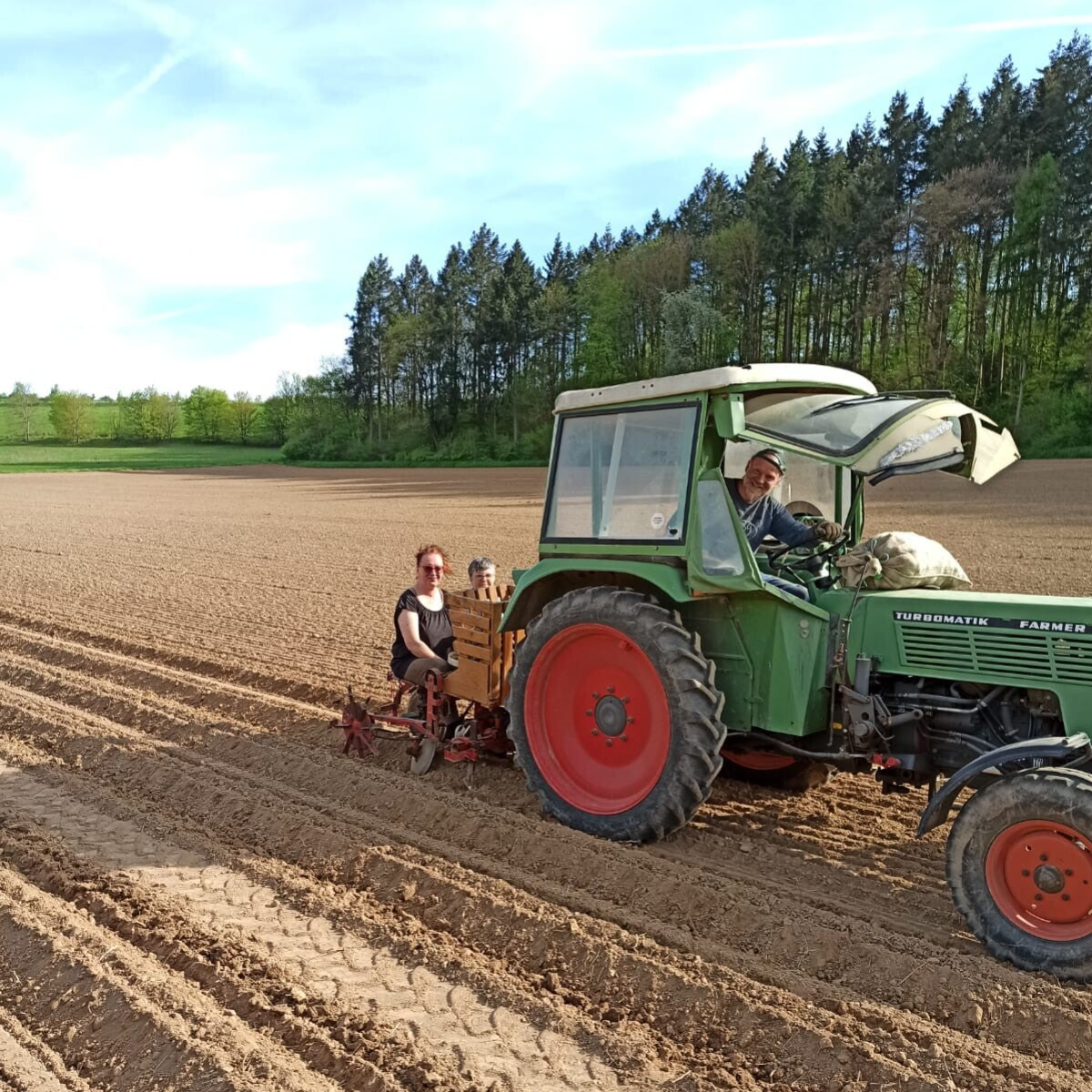 Saat ,Kartoffeln, bio, Flegler, Urphar, Ernte, Wertheim, Landwirtschaft, Bauernhof, Bioland