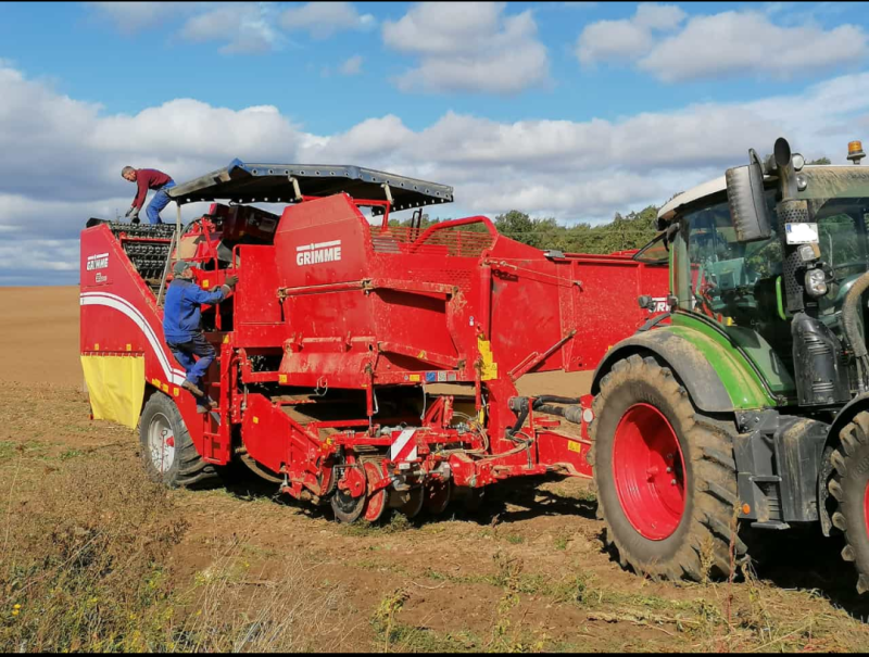 Kartoffeln, bio, Flegler, Urphar, Ernte, Wertheim, Landwirtschaft, Bauernhof, Bioland
