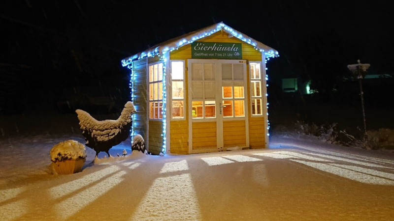 Kartoffeln, bio, Flegler, Urphar, Ernte, Eier, Bioeier, Neubrunn Wertheim, Landwirtschaft, Bauernhof, Bioland