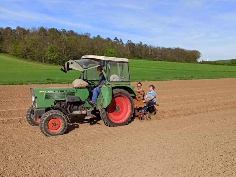 Kartoffeln, bio, Flegler, Urphar, Ernte, Wertheim, Landwirtschaft, Bauernhof, Bioland