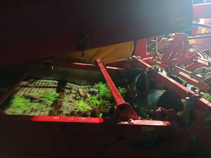 Kartoffeln, bio, Flegler, Urphar, Landwirtschaft, Bauernhof, Wertheim