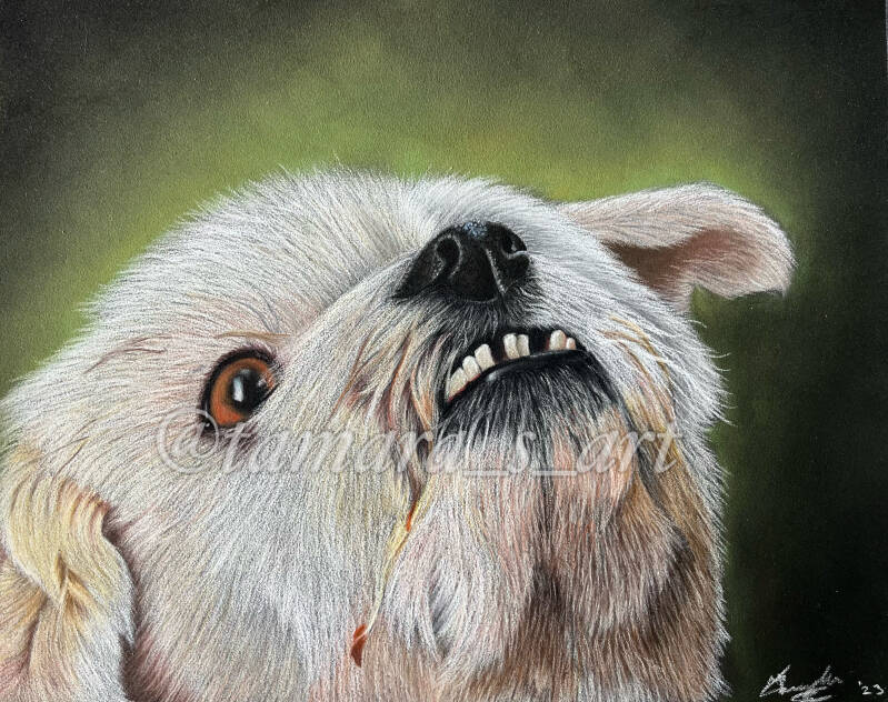 Lucky, 24x30cm, 2023