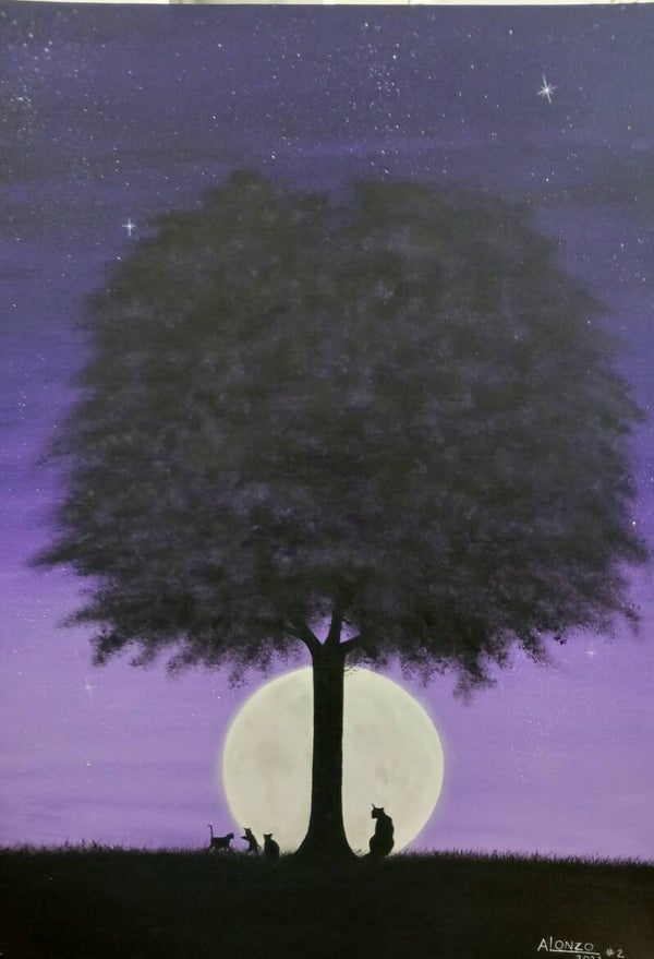 Serenity