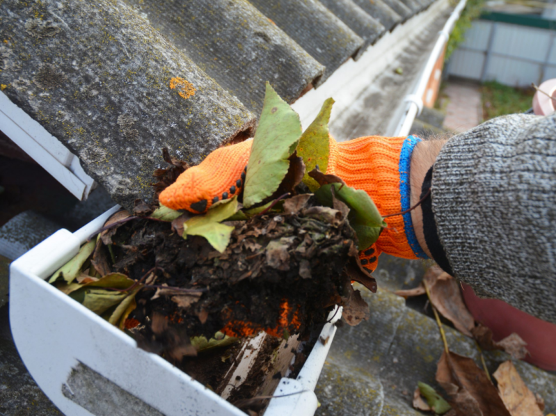 gutter-cleaning-standard-7m48wz.png