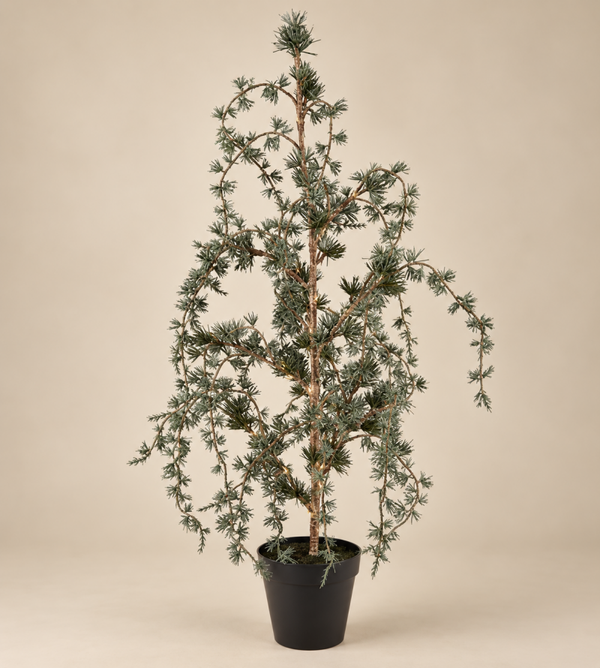 PRE ORDER Kerstboom Cedrus | LED Verlichting | 12,5x11x72CM