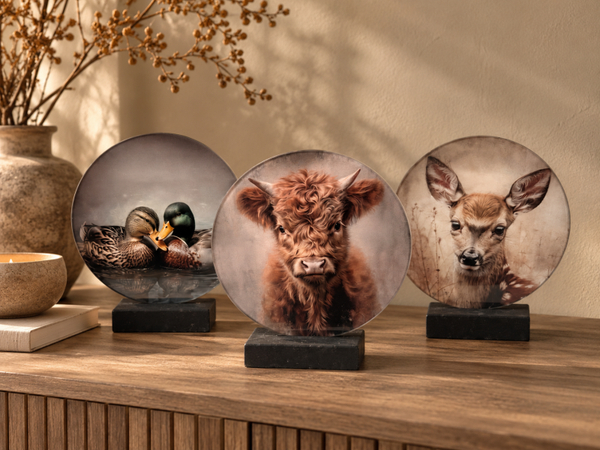 Rond Glas Op Standaard | 21cm | Verkrijgbaar in 3 soorten