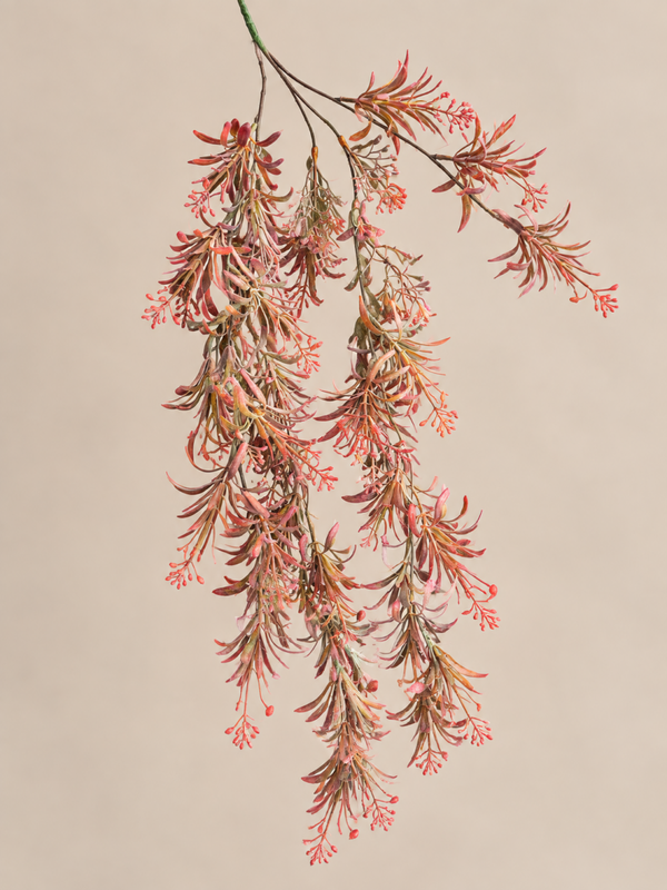 Kunst Hang Plant | Burgundy