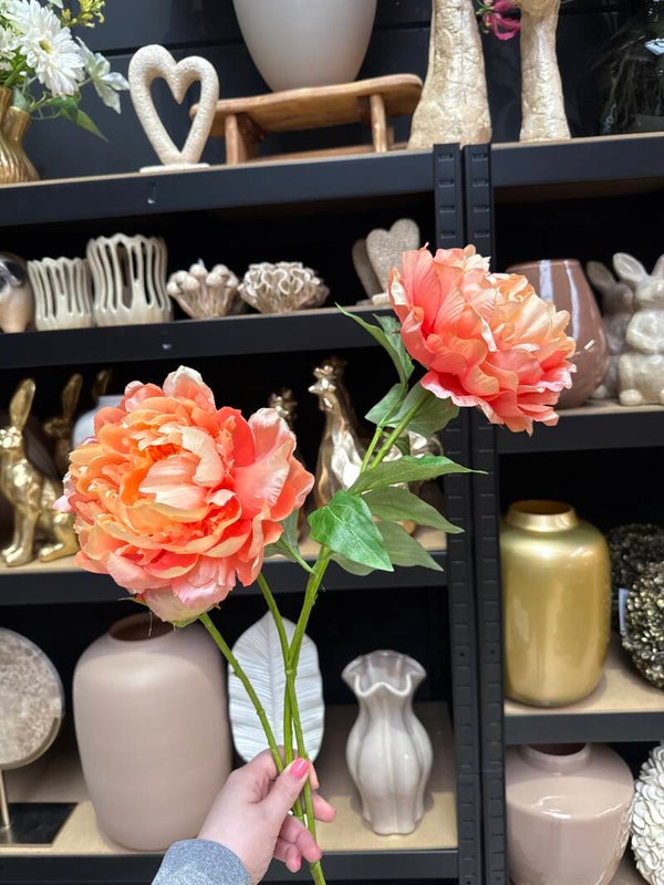 XL Peach Pioenroos Kunst