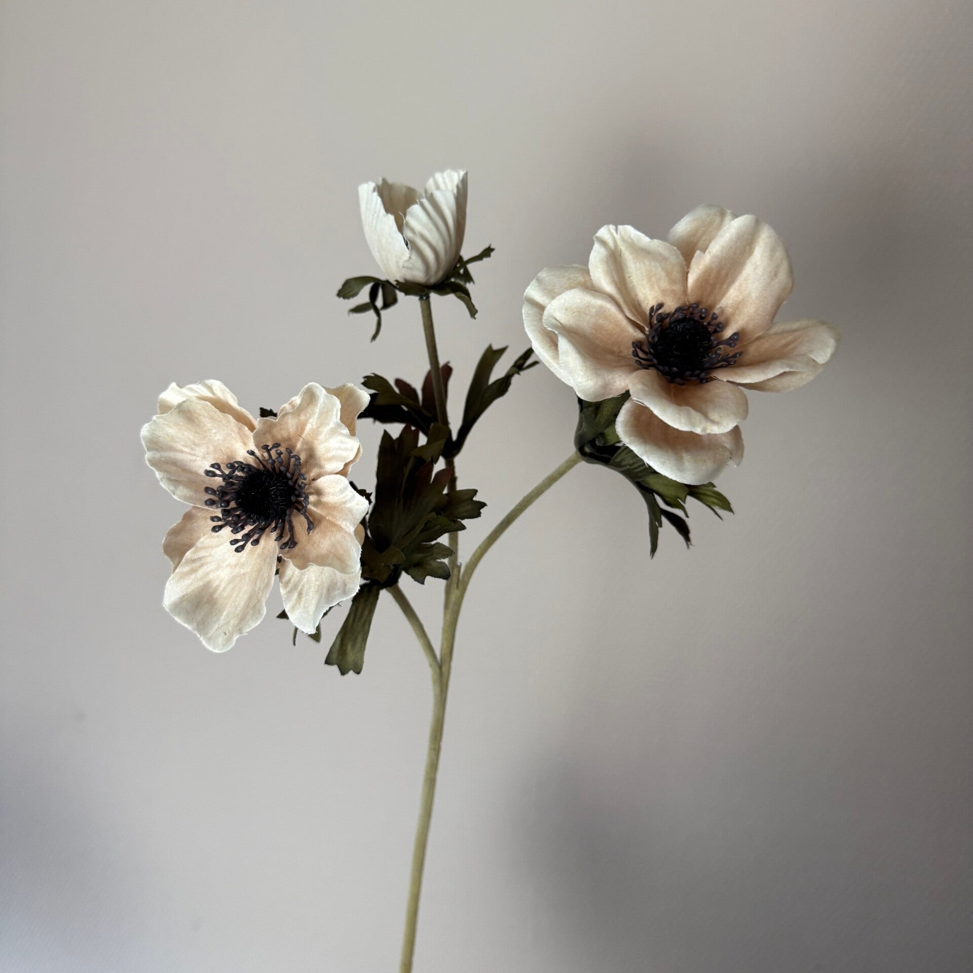 Kunstbloemen Anemoon | Creme