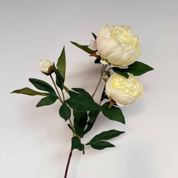 Kunstbloem Pioenroos | Creme | 69cm