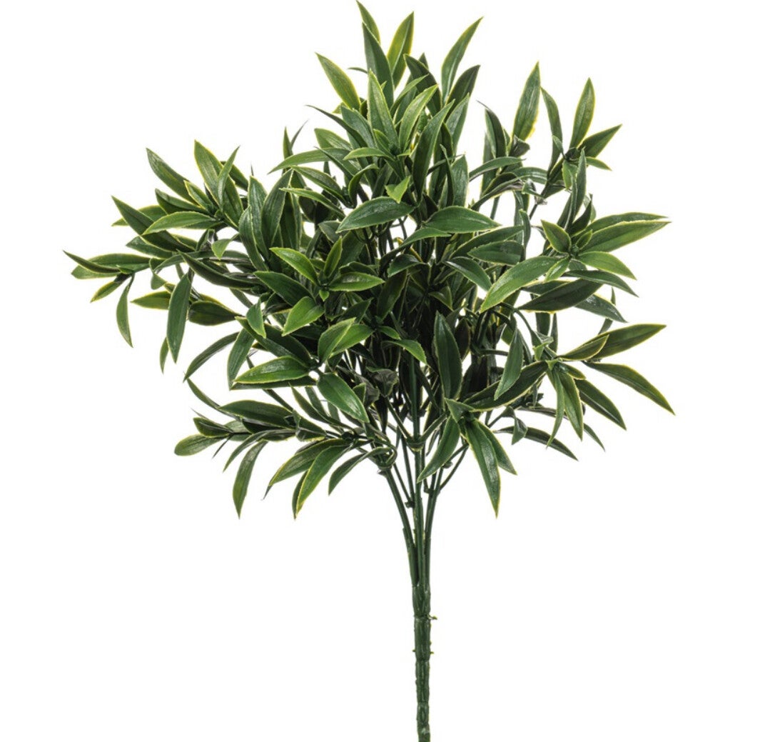 PRE ORDER Kunstplantje Ruscus | UV Coating | 35cm