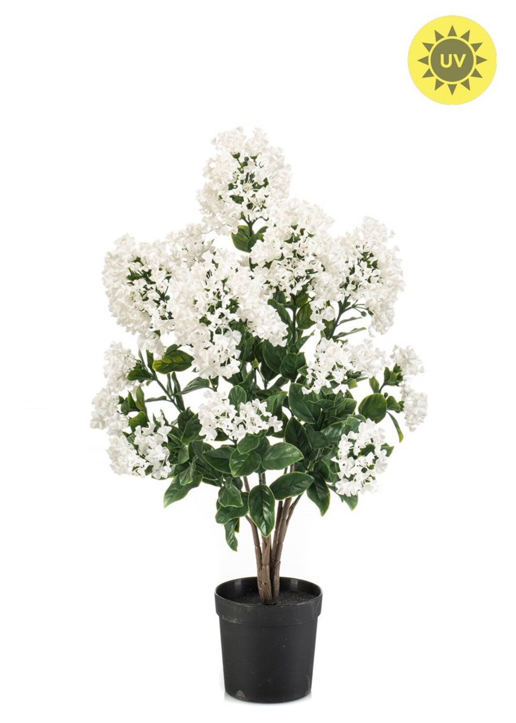 PRE ORDER Kunstplant Syringe Wit | UV coating | 67cm