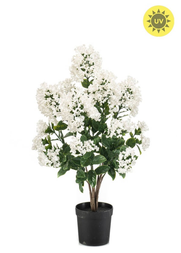 PRE ORDER Kunstplant Syringe Wit | UV coating | 67cm