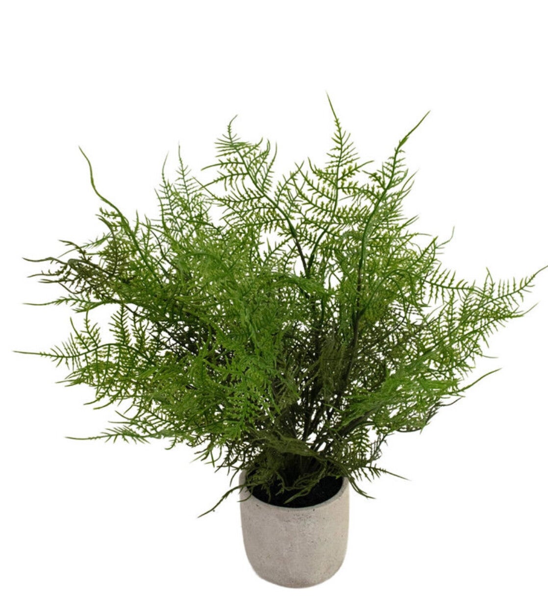 Kunstplant ‘Asparagus’ In Pot | 43cm