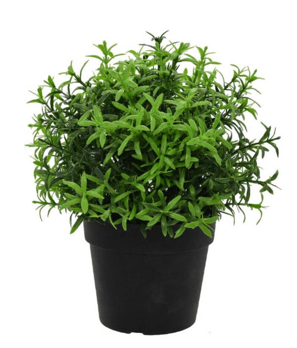 Kunstplantje ‘Herbs’ | UV Bestendig | 21cm