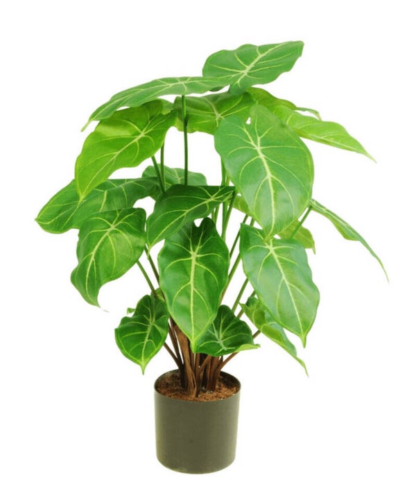 Kunstplant ‘Syngonium’ | 58cm