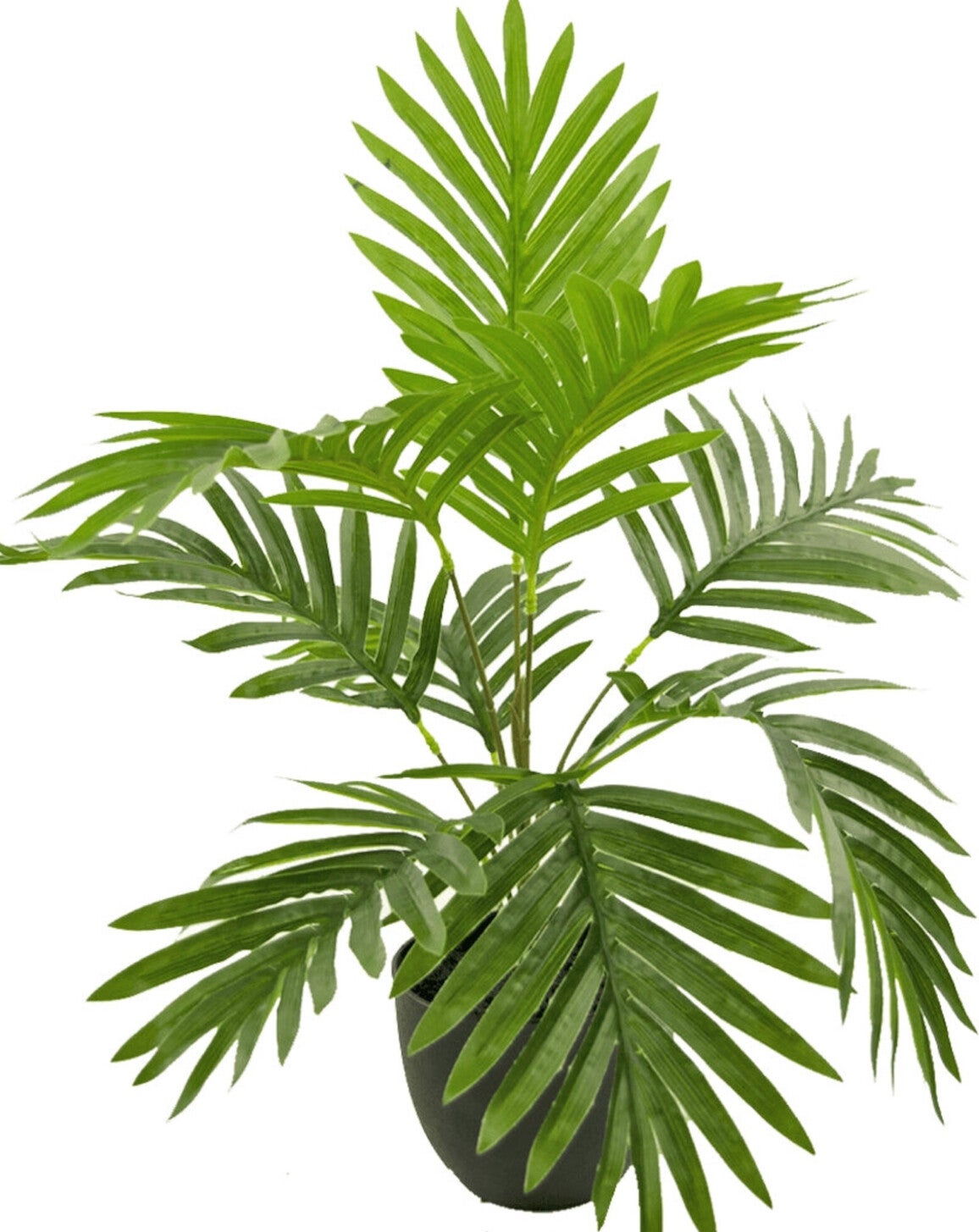Kunstplant ‘Phoenix Palm’ | 50cm