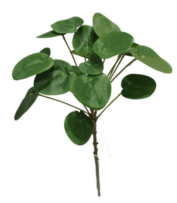 Kunstplantje ‘Pancake’ | 50cm