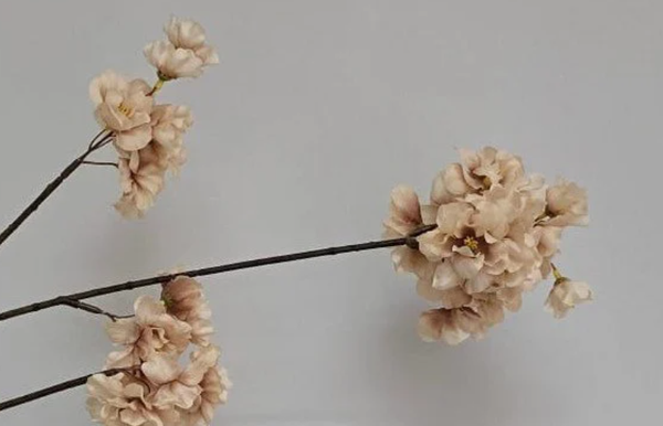 XXL Zijden Bloemen Bloesem | Cappuccino | 125cm