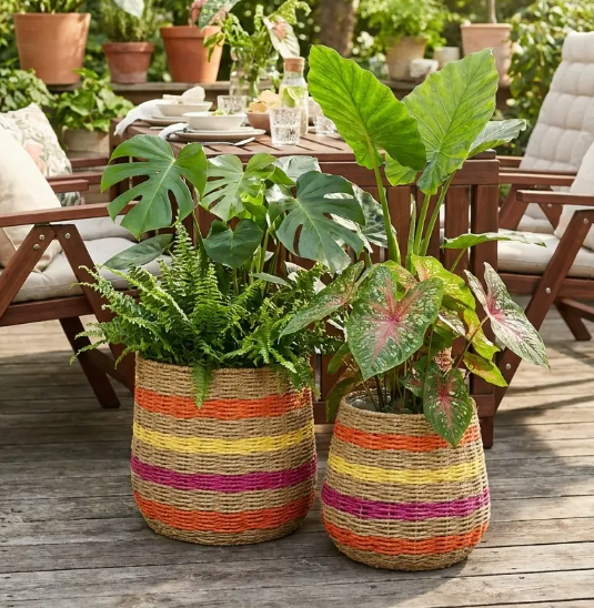 Set van 2 Bloempotten Tropical | 33cm x 30cm