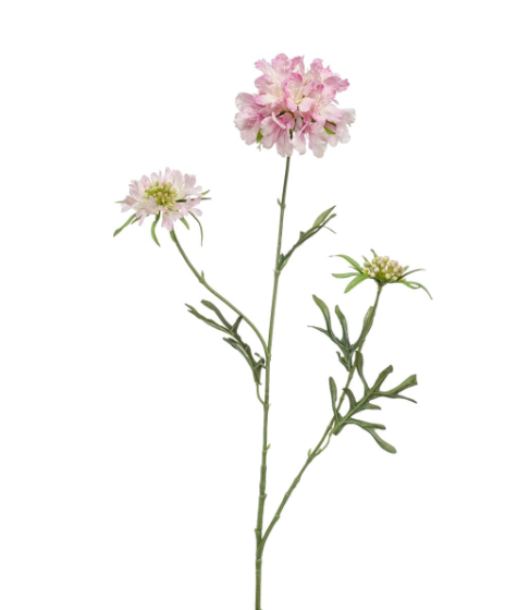 Zijden Bloem 'Scabiosa' | Roze | 77cm