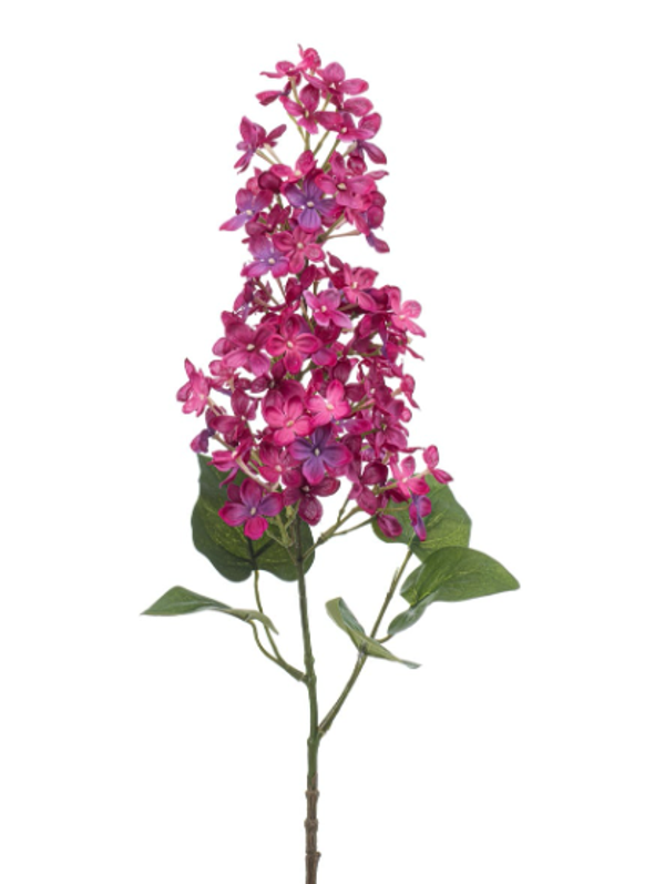 Zijden Bloem 'Syringa' | Fuchsia | 75cm