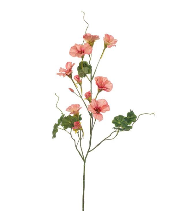 Zijden Bloemen 'Nasturtium' | Peach | 78cm