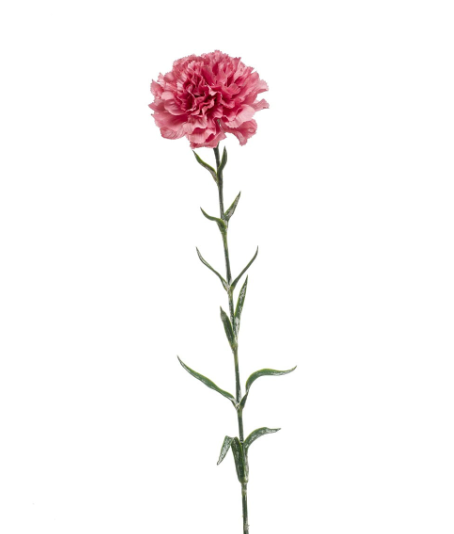 Zijden Bloem 'Anjer' | Oud Roze | 67cm