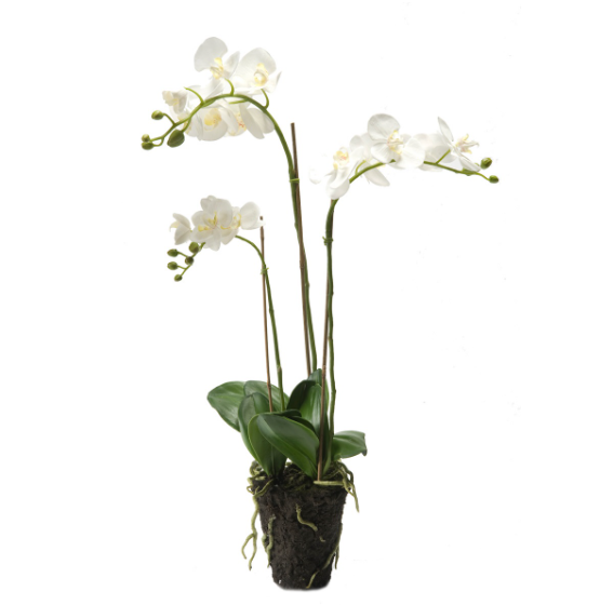 Kunst Orchidee White Soiled – 75 cm