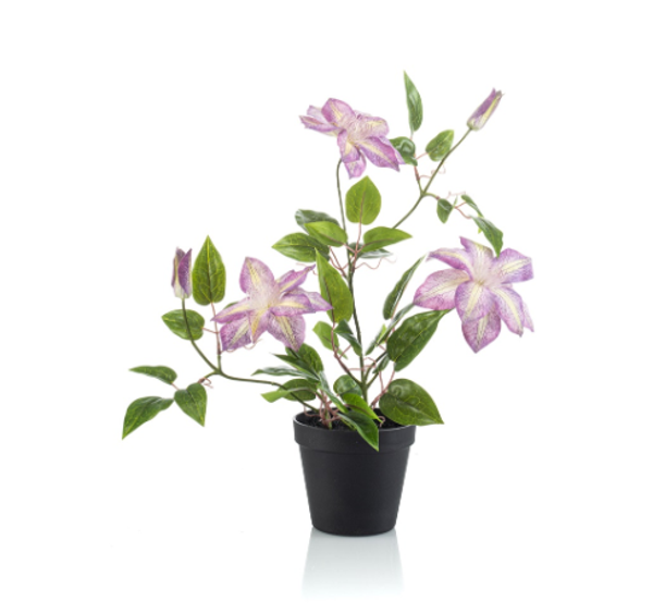Kunst Clematis Paars in Pot – 52 cm