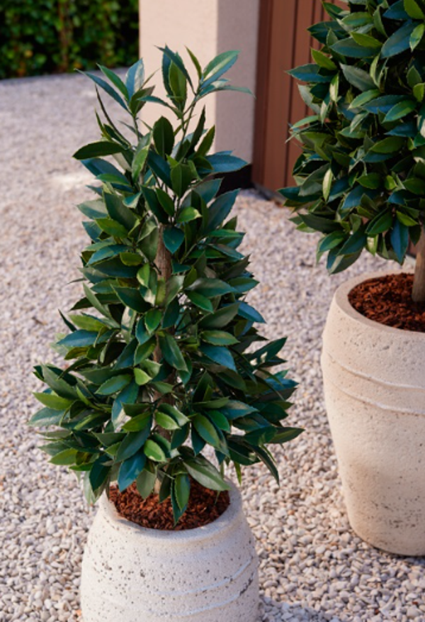 Kunst Laurel Pyramid UV in Pot – 90 cm | UV Bestendige Kunstboom