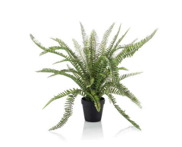 Kunst Fern UV in Pot – 53 cm | UV Bestendige Kunstvaren