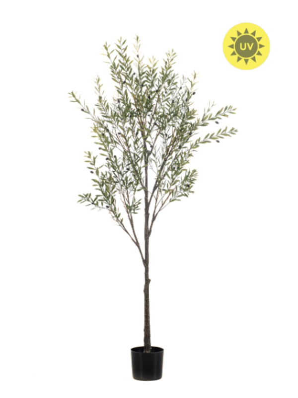 Kunst Olijfboom UV – 175 cm | UV Bestendige Kunstboom