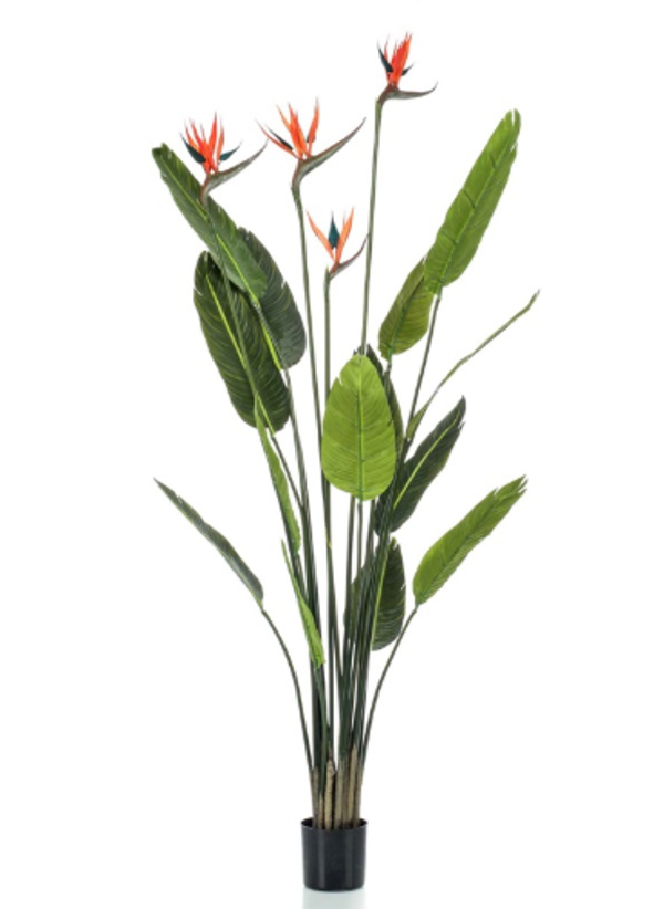 Kunst Strelitzia Plant met 4 Bloemen – 150 cm | Luxe Tropische Kunstplant