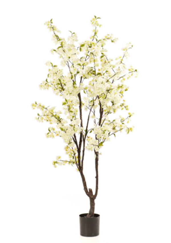 Kunst Blossom Cherry Tree Wit – 210 cm | Luxe Bloesemboom