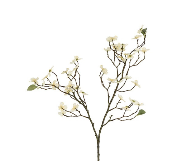 PRE ORDER Zijden Bloemen 'Cornus' | Creme/Bruin | 87cm