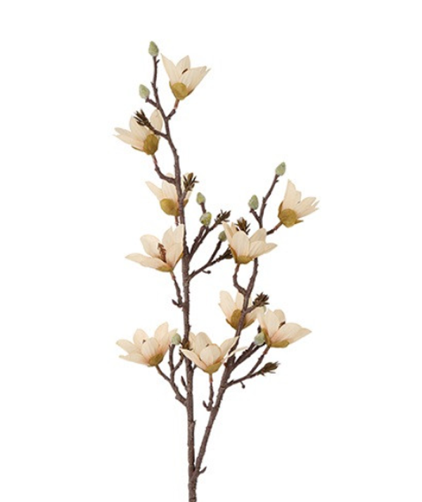 PRE ORDER Zijden Bloemen 'Magnolia | Creme/Bruin | 93cm