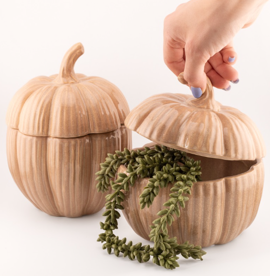 Opbergbakje Pompoen Aardewerk Beige 'Gourd' | In 2 maten