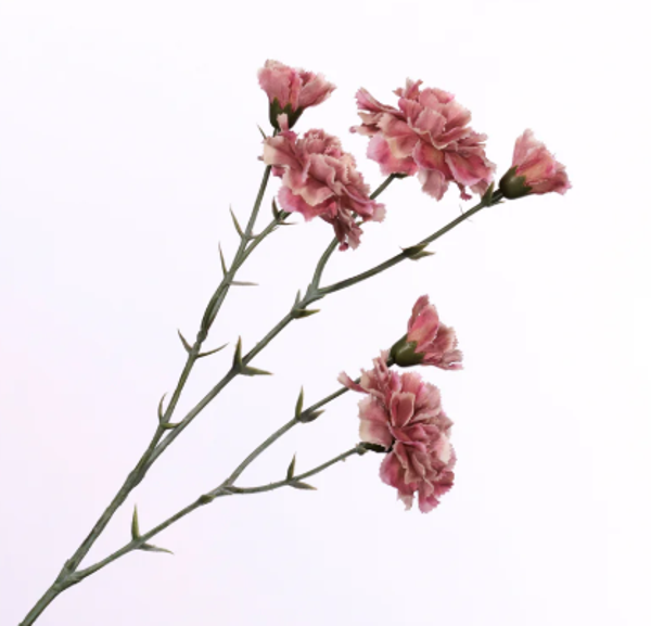 Kunstbloemen Dianthus Oud Roze | 56cm