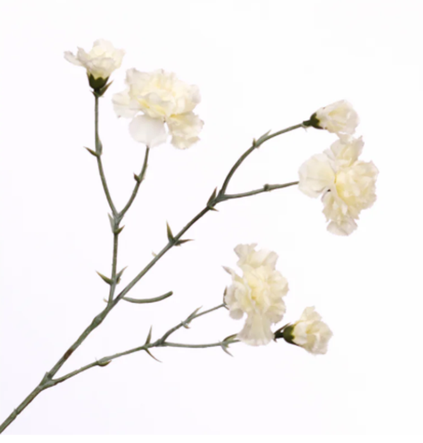 Kunstbloemen Dianthus Creme | 56cm