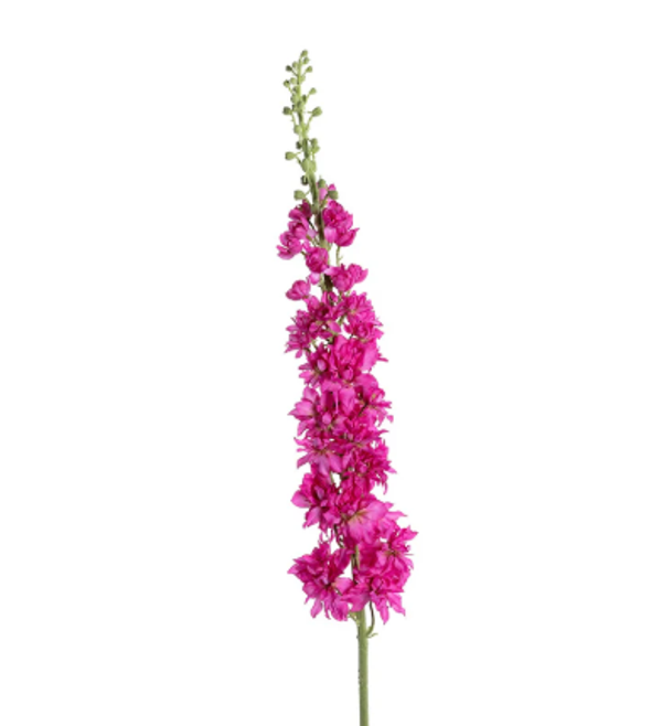 Kunstbloem Delphinium XL Cerise | 135cm